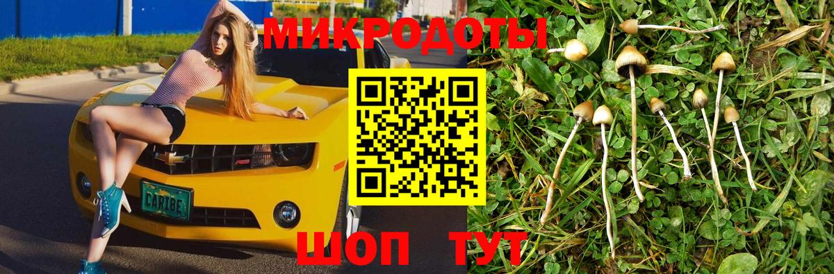 Псилоцибиновые грибы мицелий  наркота  Мценск  Вход с VPN  Псилоцибиновые грибы Magic Shrooms 
