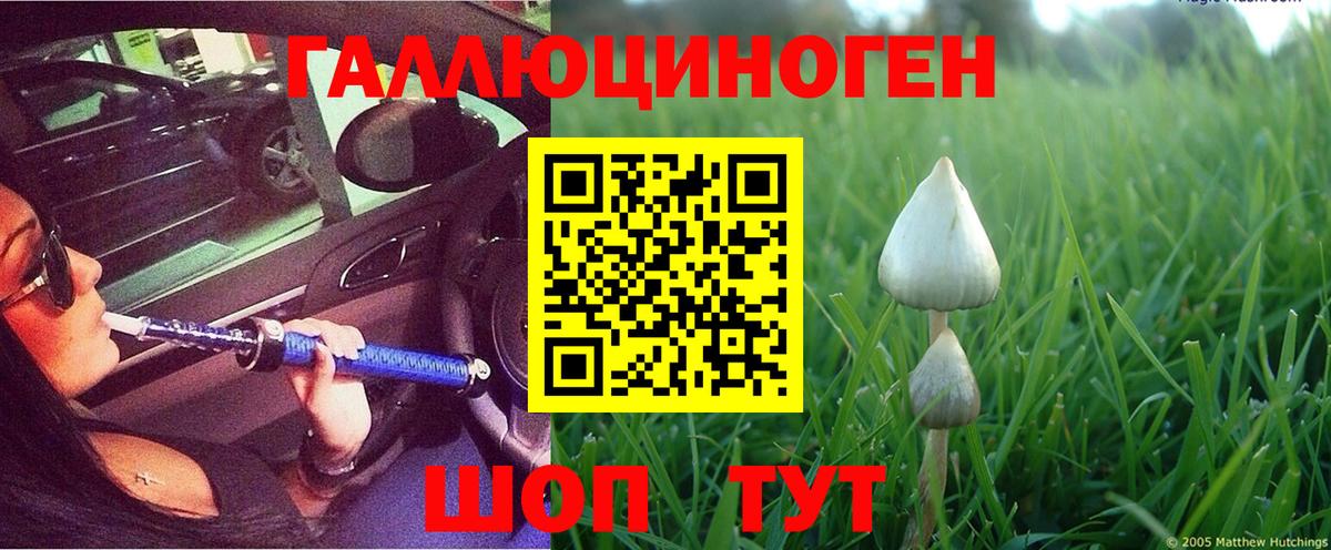 Галлюциногенные грибы мухоморы Мценск